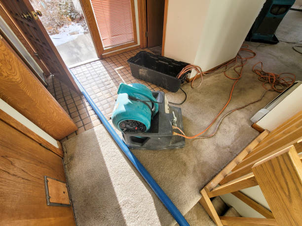 Best Local water damage restoration  in Yorklyn, PA