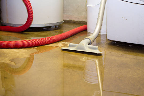 Best Basement water damage restoration  in Yorklyn, PA